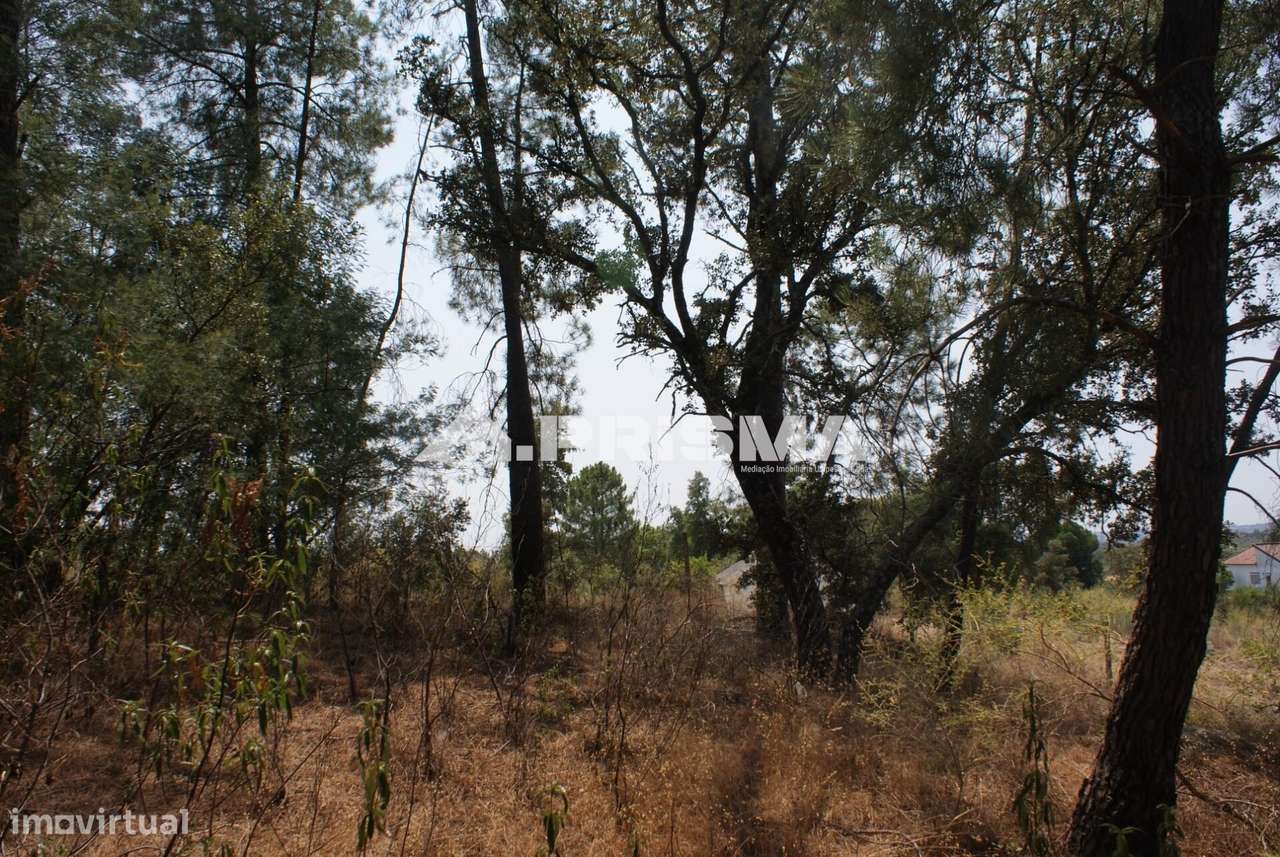 Quinta para Venda em Orca - Fundão-24