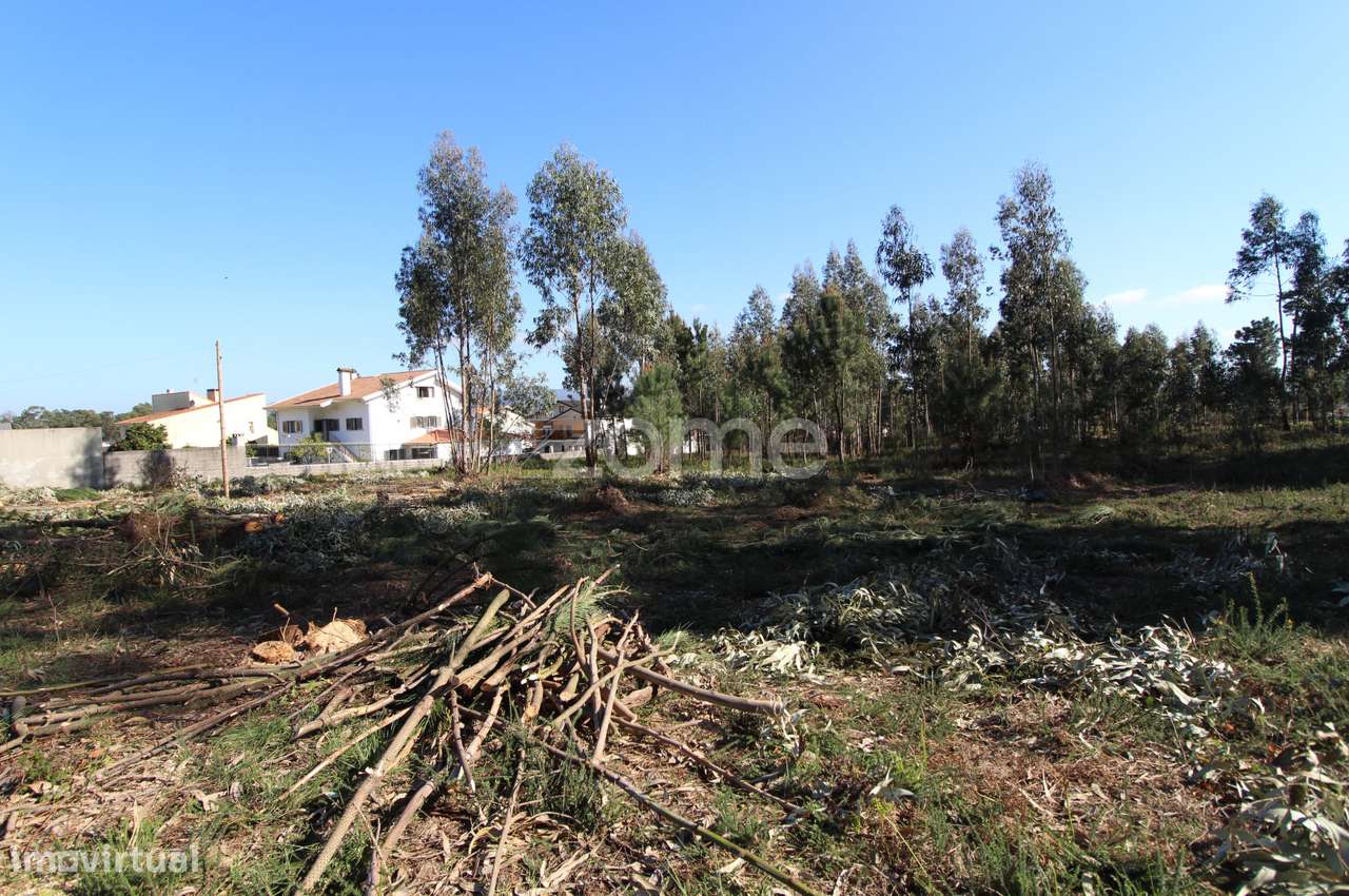 Terreno Urbanizável com 9.200 m2 em Alvarães, Viana do Castelo ! - Grande imagem: 4/15