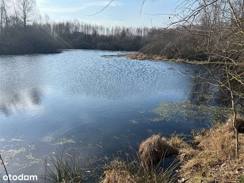 Działka rolna 11 ha-siedlisko, inwestycja, OZE-7