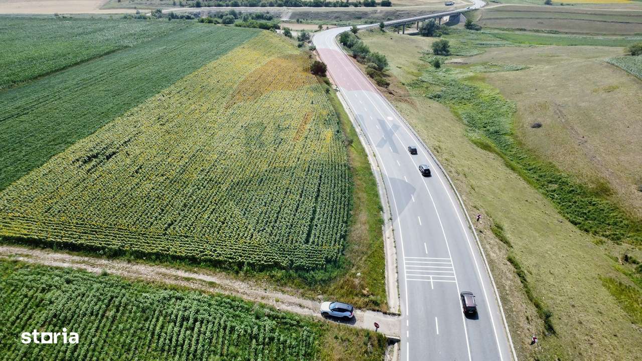 Teren 3,500mp Ilisesti / Strada Principala - Imagine principală: 2/15