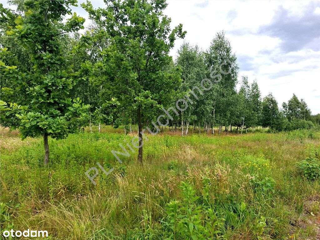 Duża działka w dobrej cenie !-7