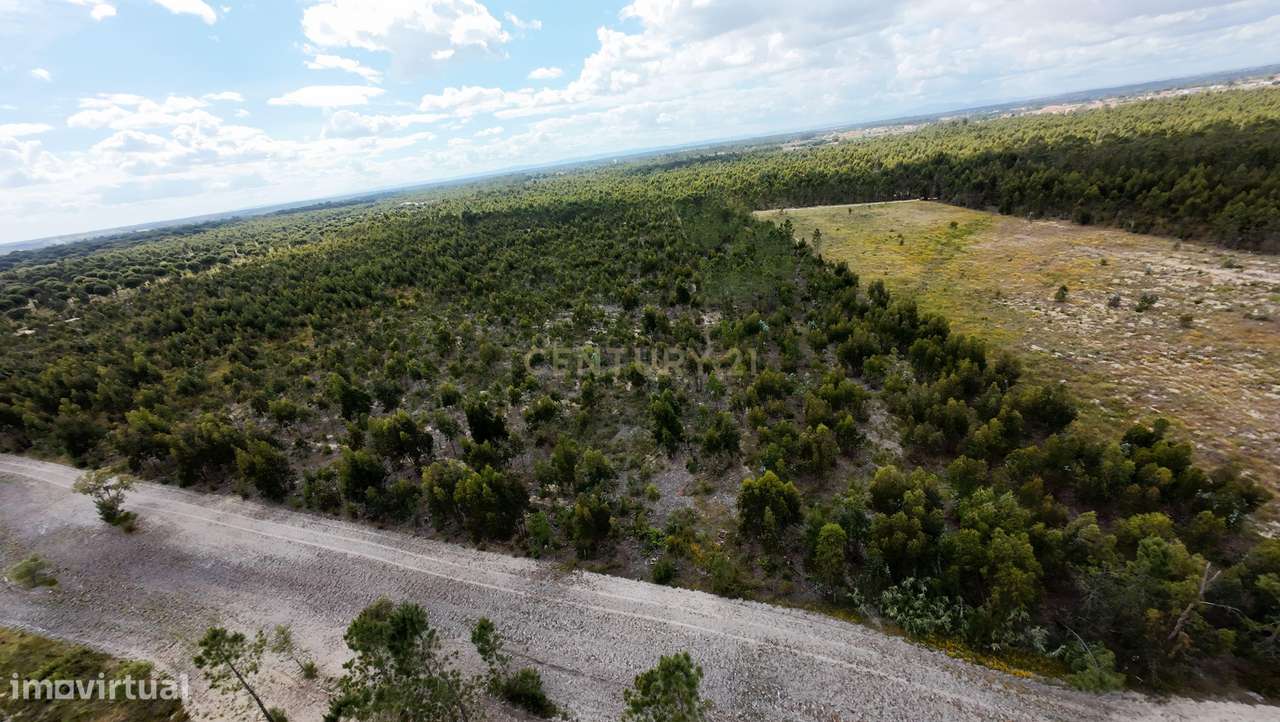 Magnifica Herdade Turística   em Santo Estêvão, Benavente-5