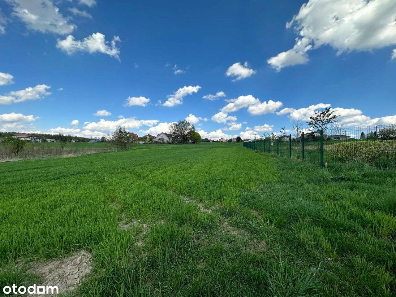 Działka pod lasem | doprowadzony wodociąg-10