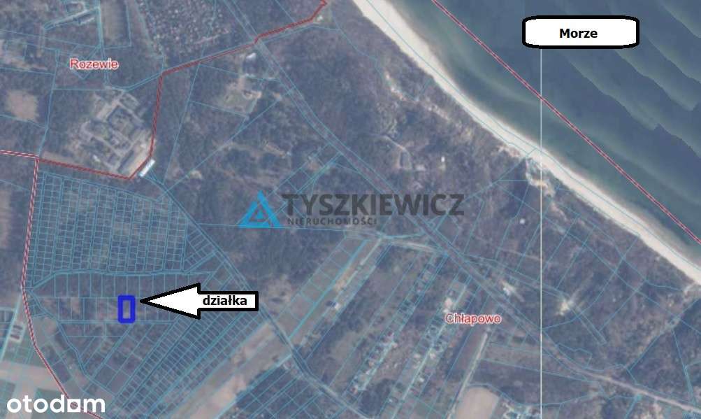 Działka leśna - Pełny obrazek: 4/20