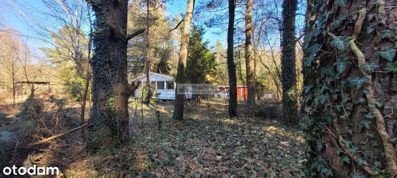 Wspaniała lokalizacja, Sosnówka Kolonia-2