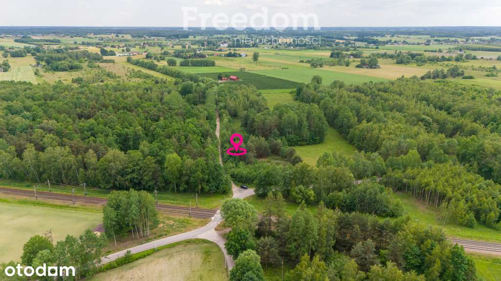 Działka budowlana 3000m2 Ludwików - Pełny obrazek: 2/8