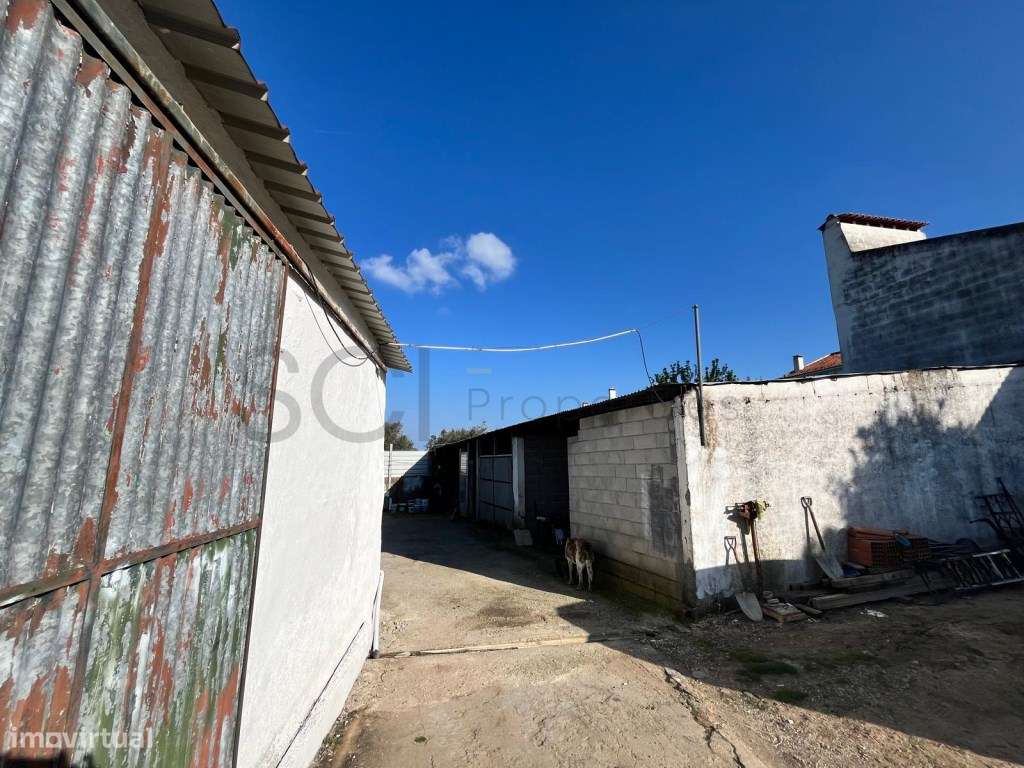 Moradia em Portel com excelentes áreas.-15
