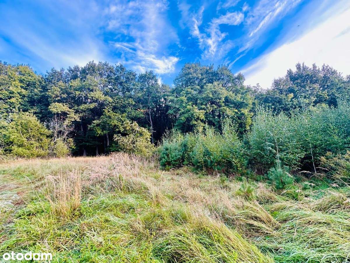 Widok na Górę Ślężę, działka rolna 5200 m2 - Pełny obrazek: 4/8