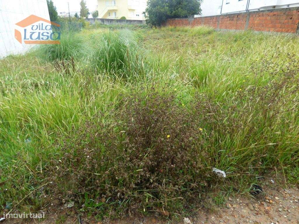 Oportunidade para Construir a Sua Casa dos Sonhos em Avintes, Vila ... - Grande imagem: 4/12