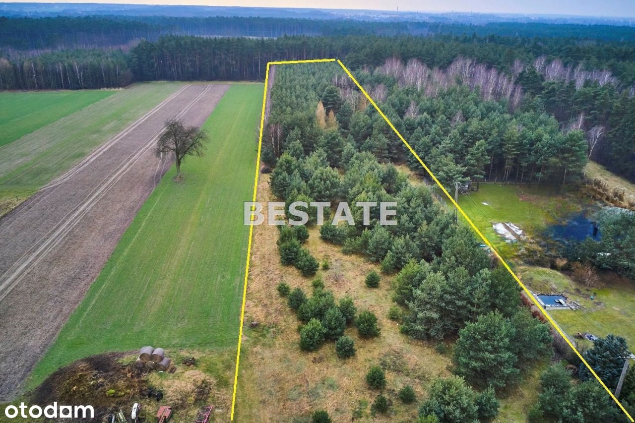 1,6ha, Wz na zabudowę szeregową, Wronowice