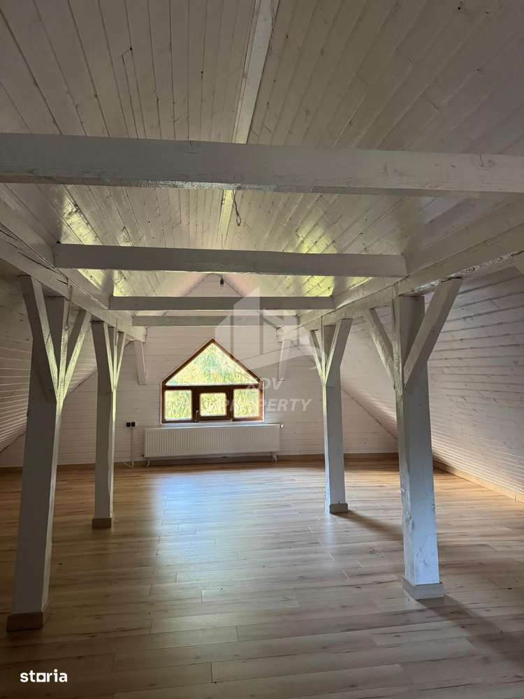 Pensiune/ Vila Valea Avrigului-15