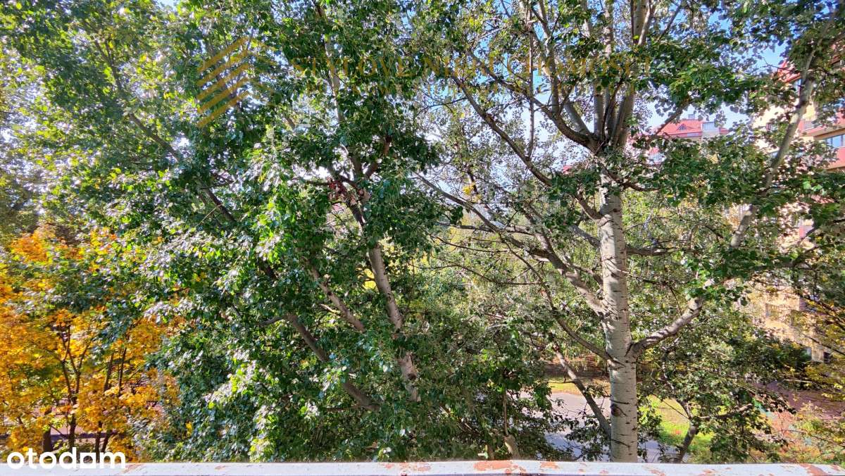 5 minut do metra Płocka! - 4 pokoje-8