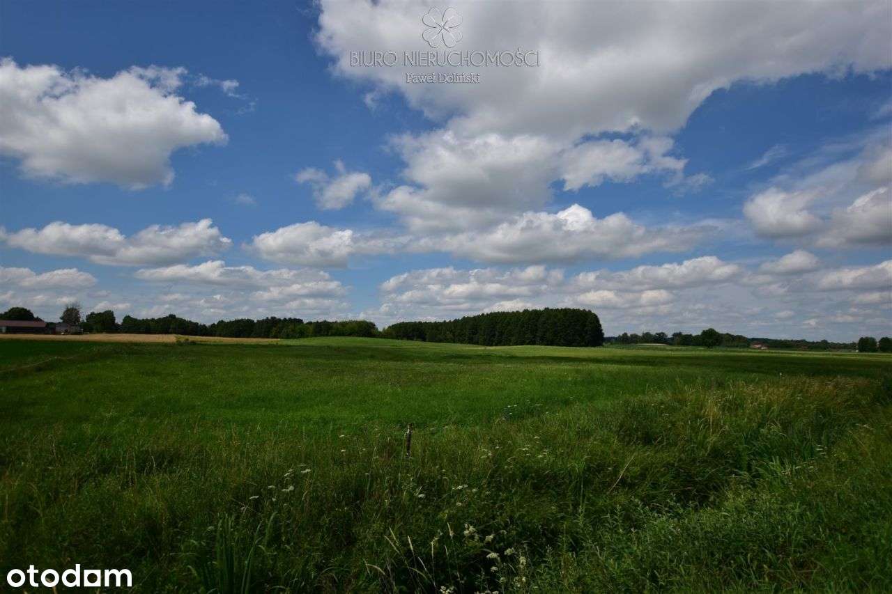Działki 11095 m² koło Jeziora Dręstwo Nowa Cena!!! - Pełny obrazek: 4/7