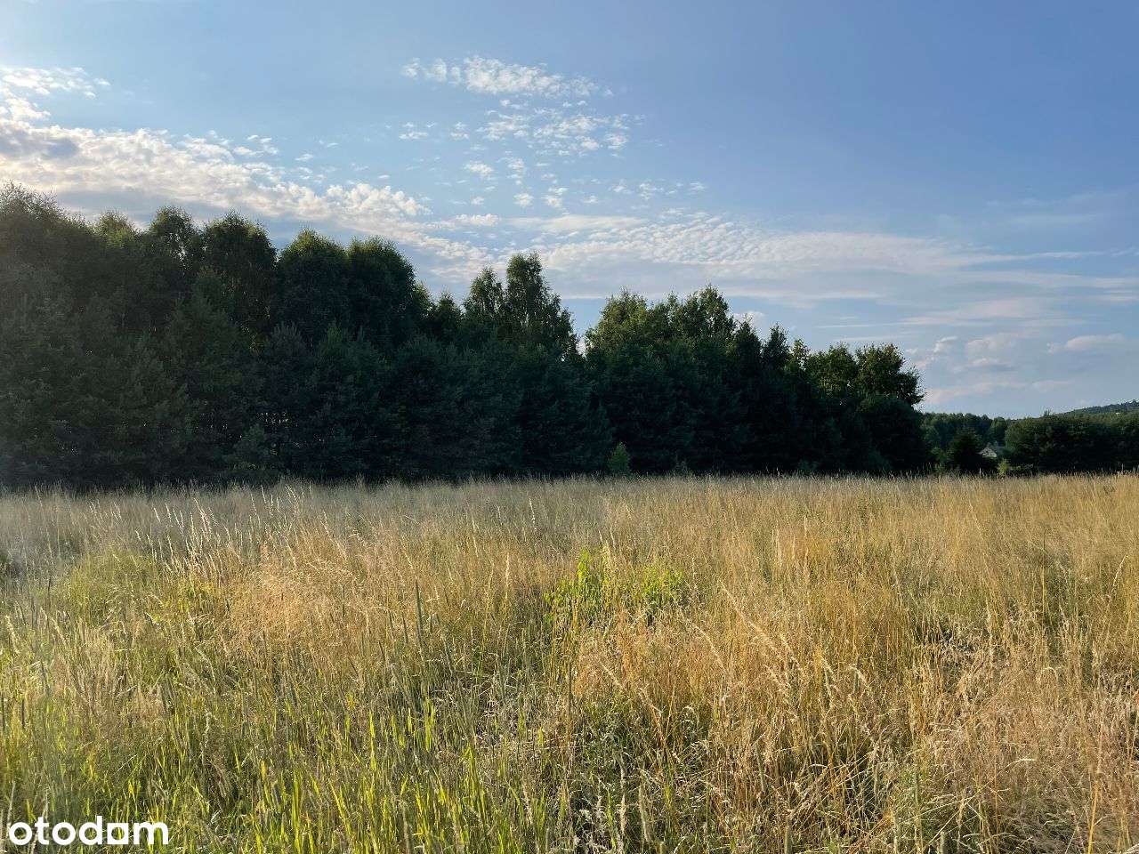 Atrakcyjna działka budowlana11400Ruda Strawczyńska - Pełny obrazek: 4/12