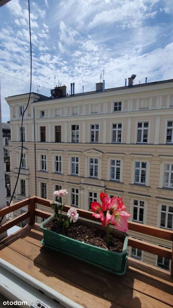 3 pokoje w centrum, 3 bedrooms in city center - Pełny obrazek: 5/10