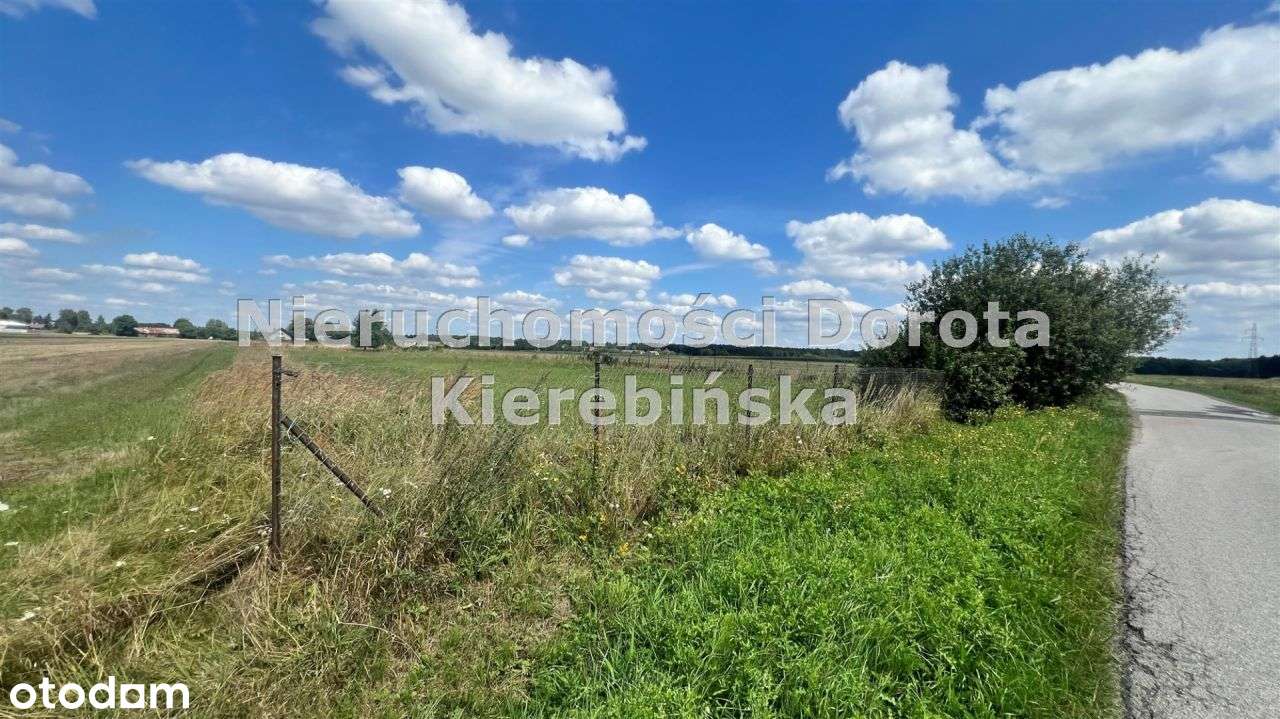 Działki budowlane w Studziankach. - Pełny obrazek: 3/11