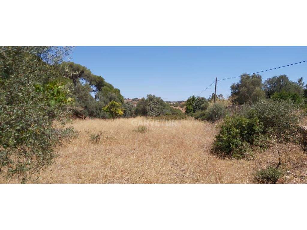 Terreno rústico, em zona agrícola, Albufeira, Algarve - Grande imagem: 2/36