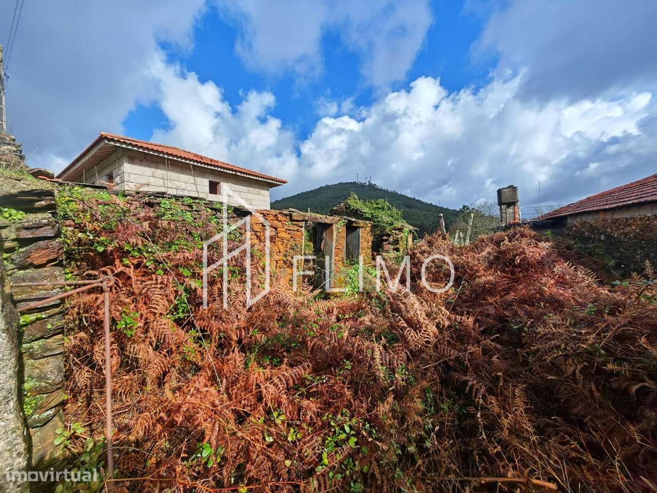 Moradia rustica para reabelitação em São Martinho de Sardoura - Grande imagem: 5/8