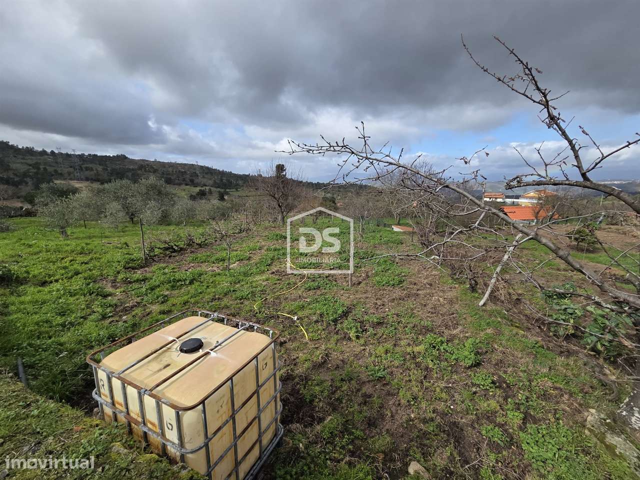 Terreno  Venda em Armamar,Armamar - Grande imagem: 4/7