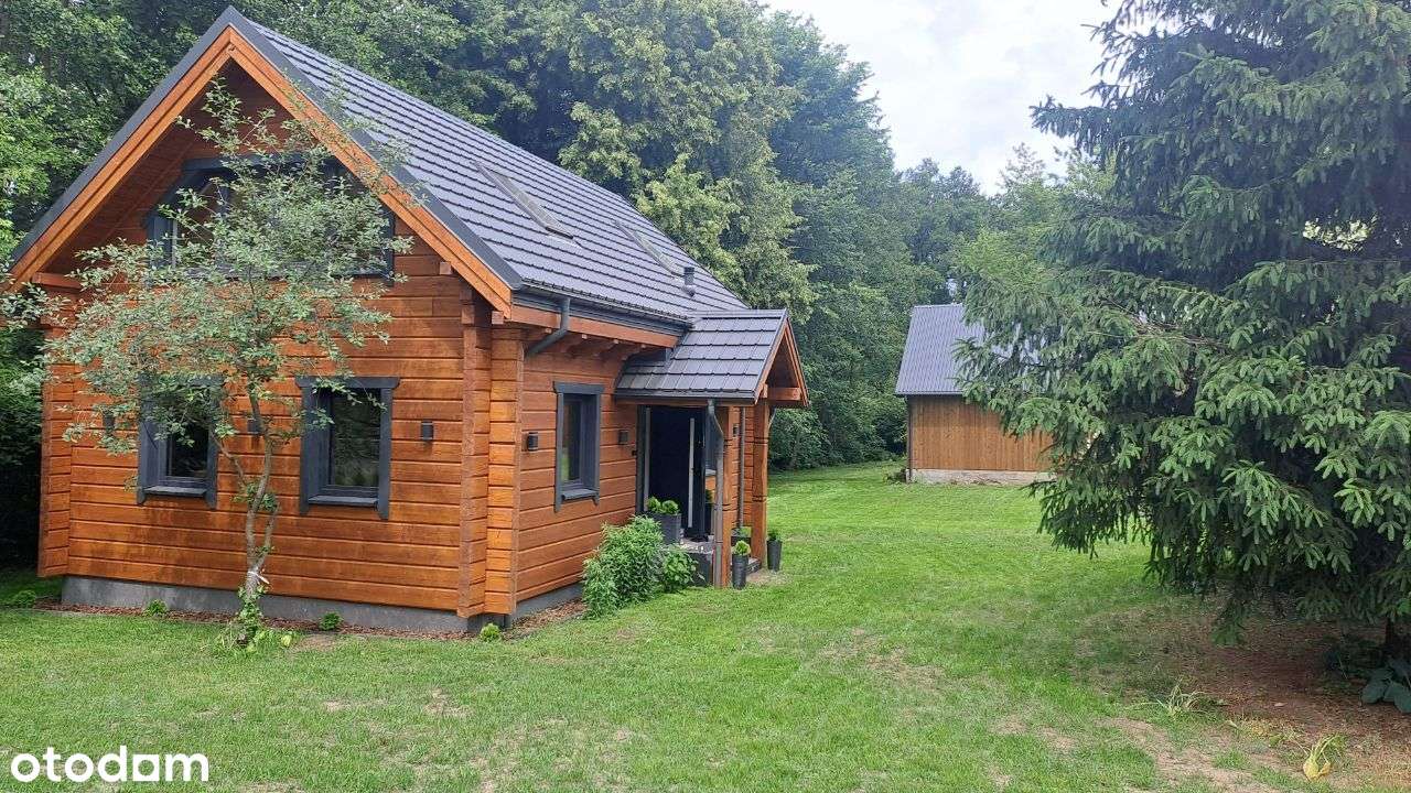 Sprzedam siedlisko , dom drewniany - Pełny obrazek: 4/19