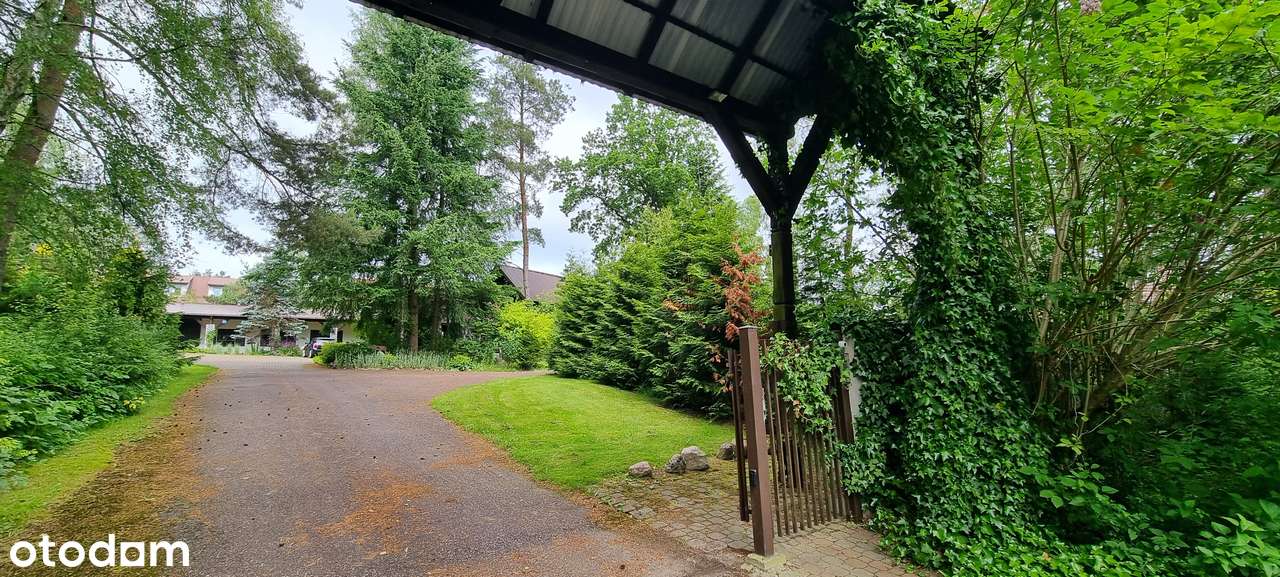 Atrakcyjny teren pod 15 bliźniaków wkomponowanych wśród drzew-5