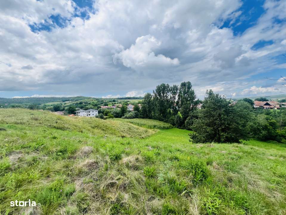 Investitie Teren intravilan 3000 mp intabulat in Corusu - Imagine principală: 2/5