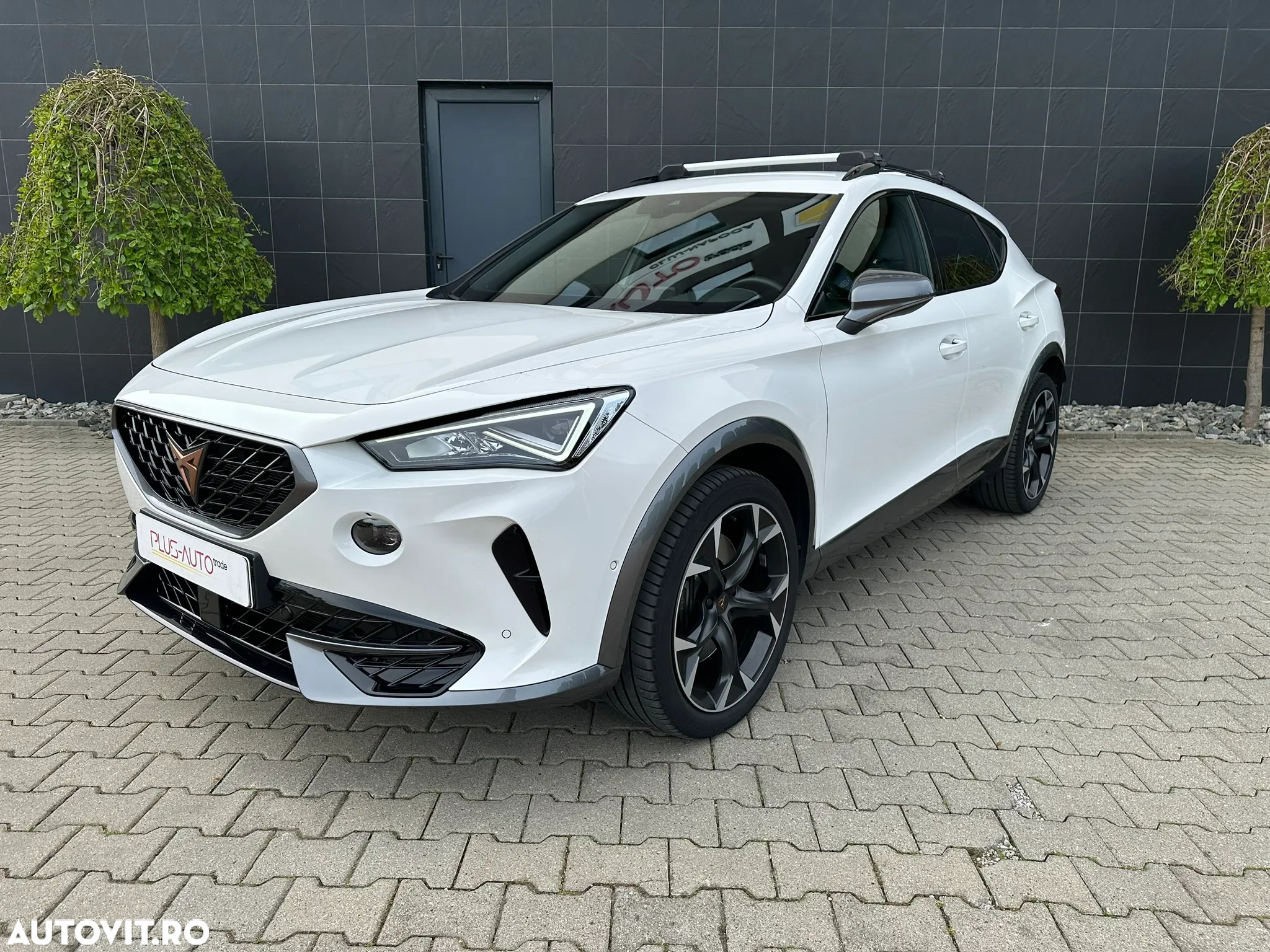 Cupra Formentor VZ 2.0 TSI 4Drive DSG - 10