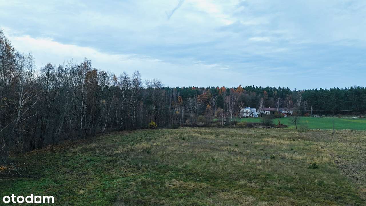 Robakowo- na sprzedaż działka 1746m2 z wydanymi warunkami zabudowy !!! - Pełny obrazek: 4/10