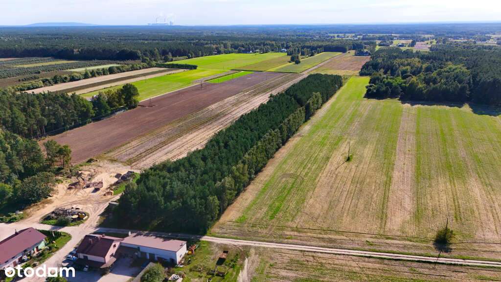 Działka siedliskowa z lasem 1,74 ha ! - Pełny obrazek: 5/6