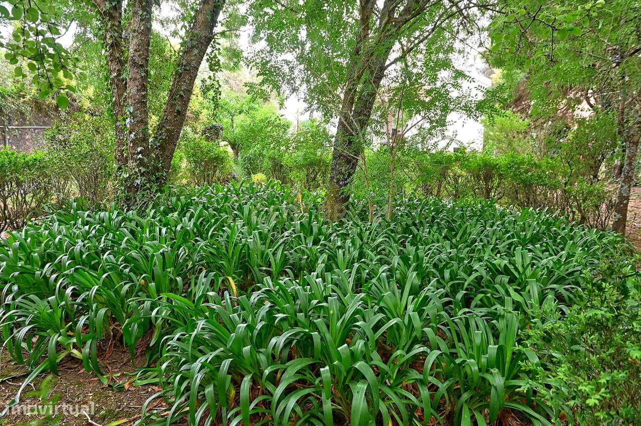 Quinta com 3200 m², LINHÓ - SINTRA-17