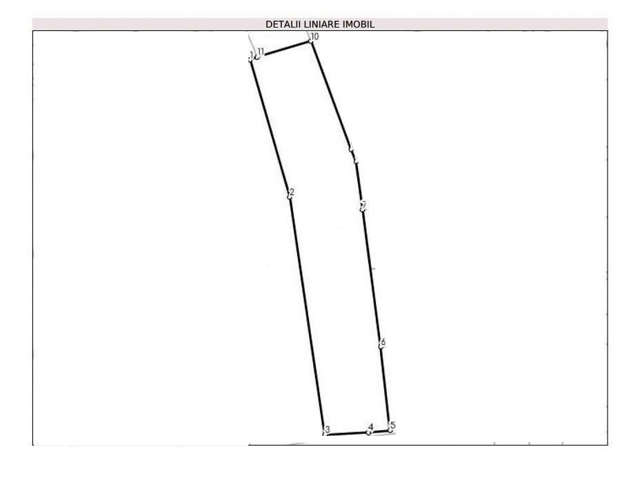 Teren intravilan parcelabil, 6000 mp in Salicea - Imagine principală: 2/2