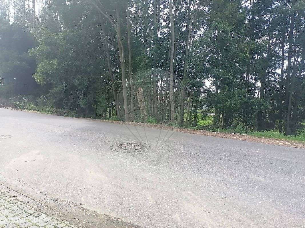 Terreno  para venda - Grande imagem: 5/5