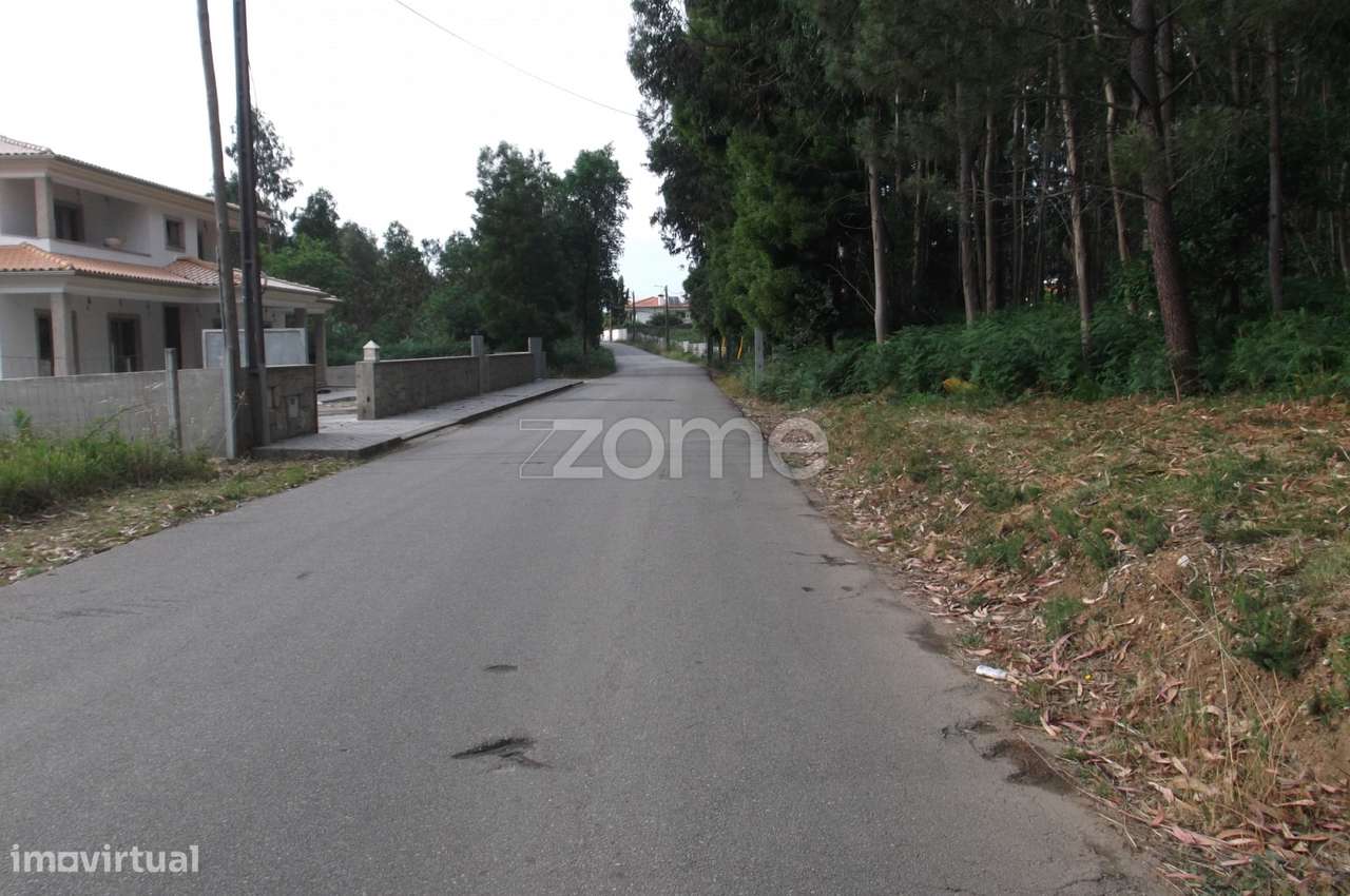 Terreno na Branca (Albergaria a Velha) - Grande imagem: 4/6