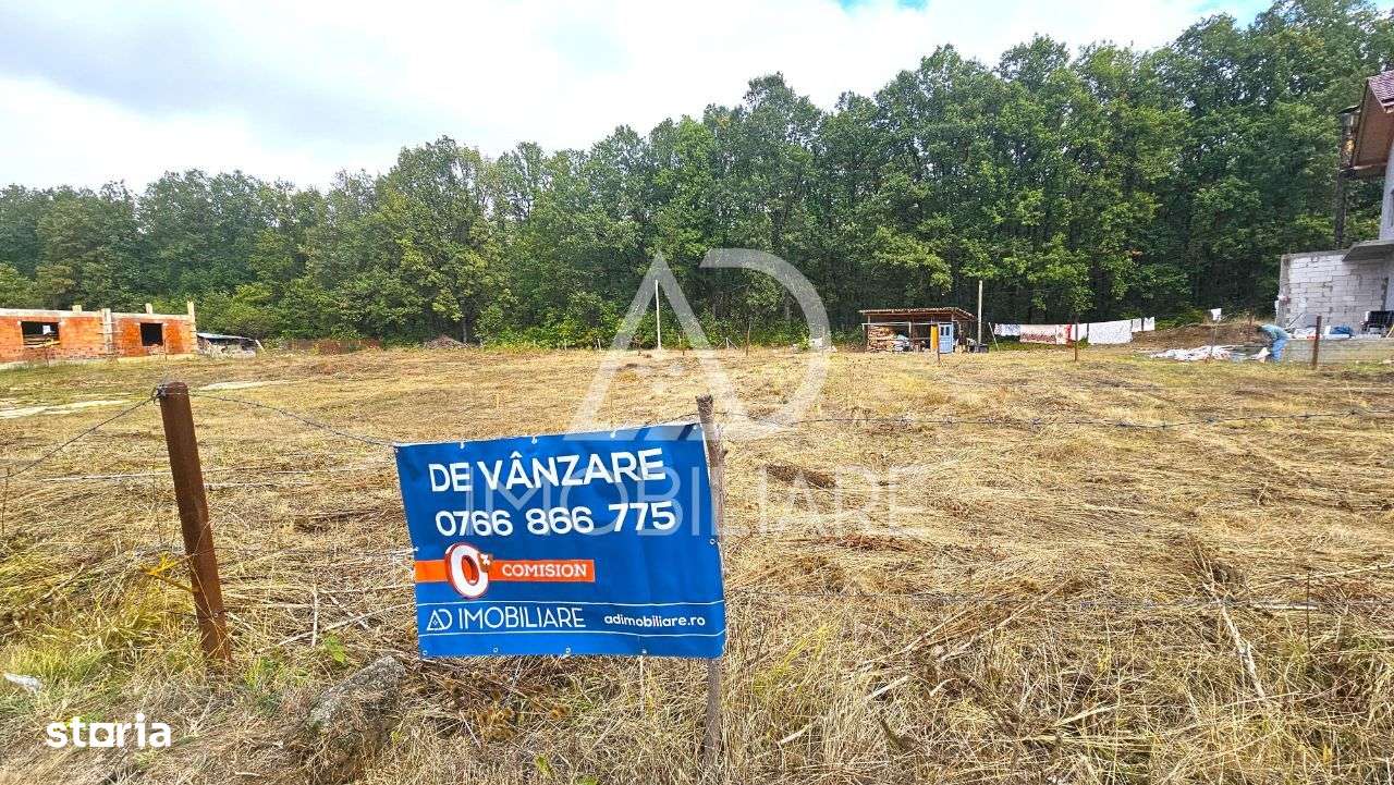 Teren intravilan Dragoeni, deschidere 89 m la DN67 - Imagine principală: 3/9