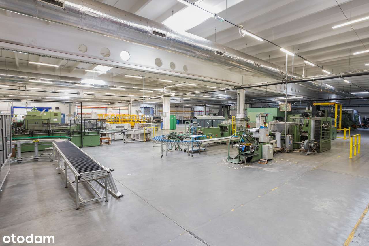 Kompleks 2 hal magazynowych i produkcyjnych z biurami i parkingiem - Pełny obrazek: 5/7