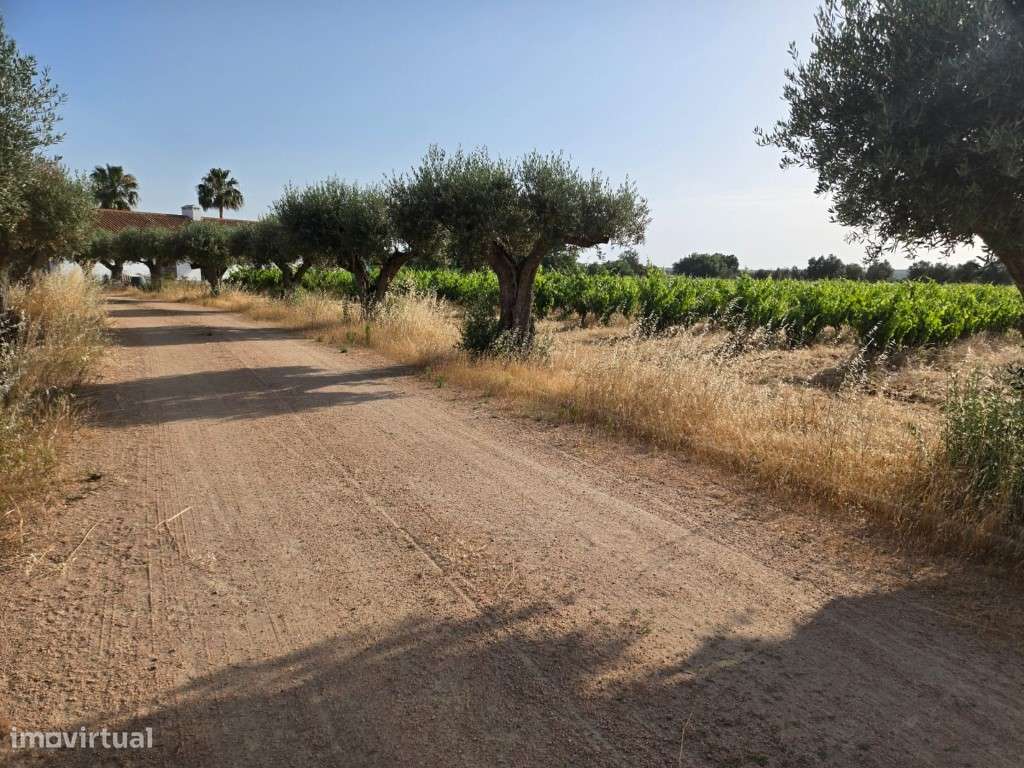 Monte Alentejano Contemporâneo no Coração do Alentejo | Aldeias de ...-37