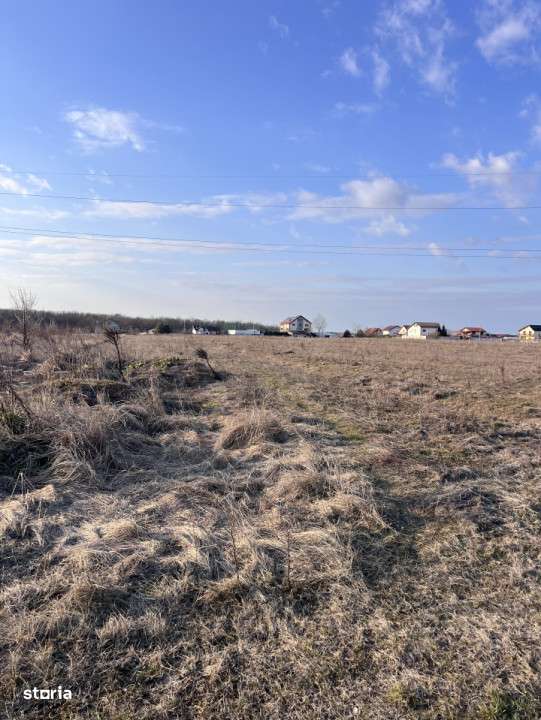 Teren intravilan-Utilitati-Rezid-Asfalt-Posib cumparare teren vecin-3
