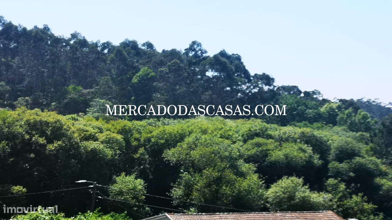 Terreno c/ 2800 m2 em São Paio Oleiros - Grande imagem: 3/4