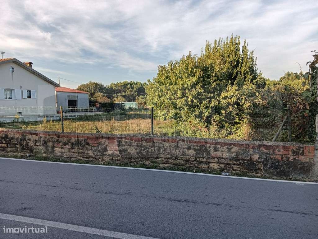 Terreno com 18,5m de frente para venda em Oiã - Grande imagem: 4/15