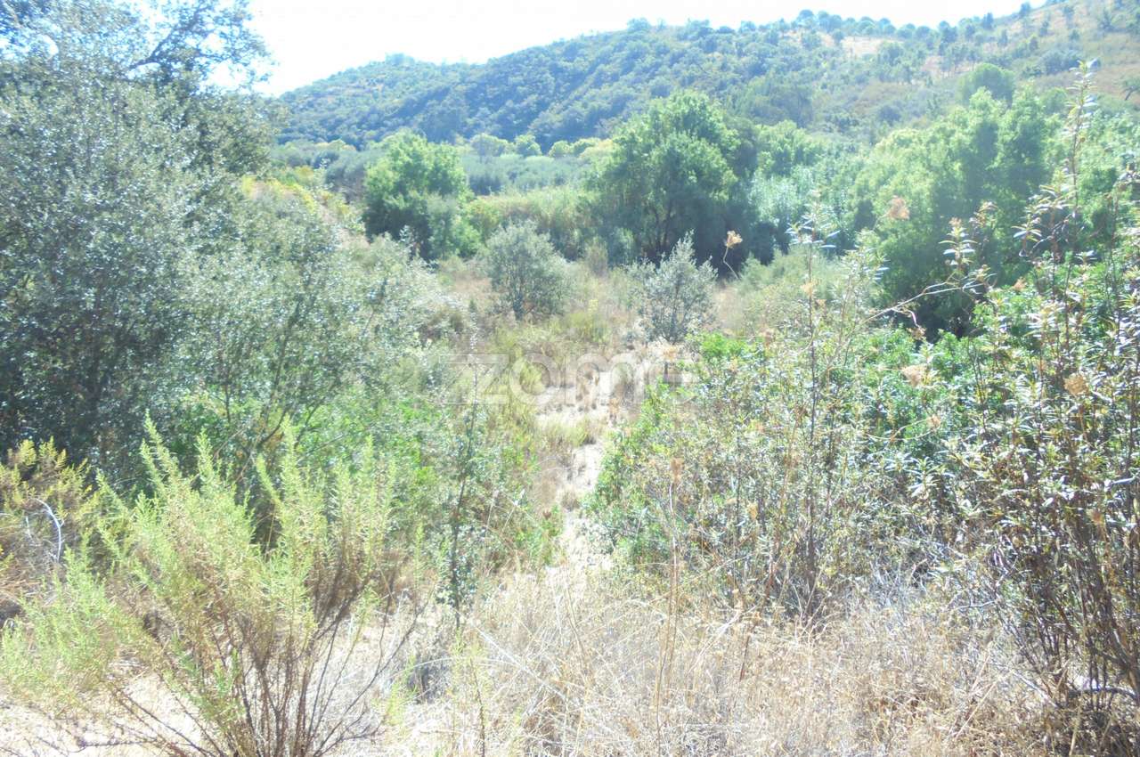 Terreno Rústico Ribeira do Arade, S. Bartolomeu de Messines - Grande imagem: 3/15