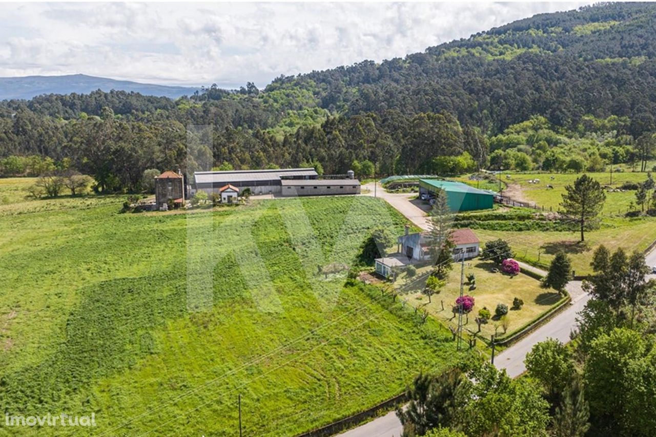 Quinta Torre de Penafiel, Vila Nova de Cerveira, com cerca de 17 hecta