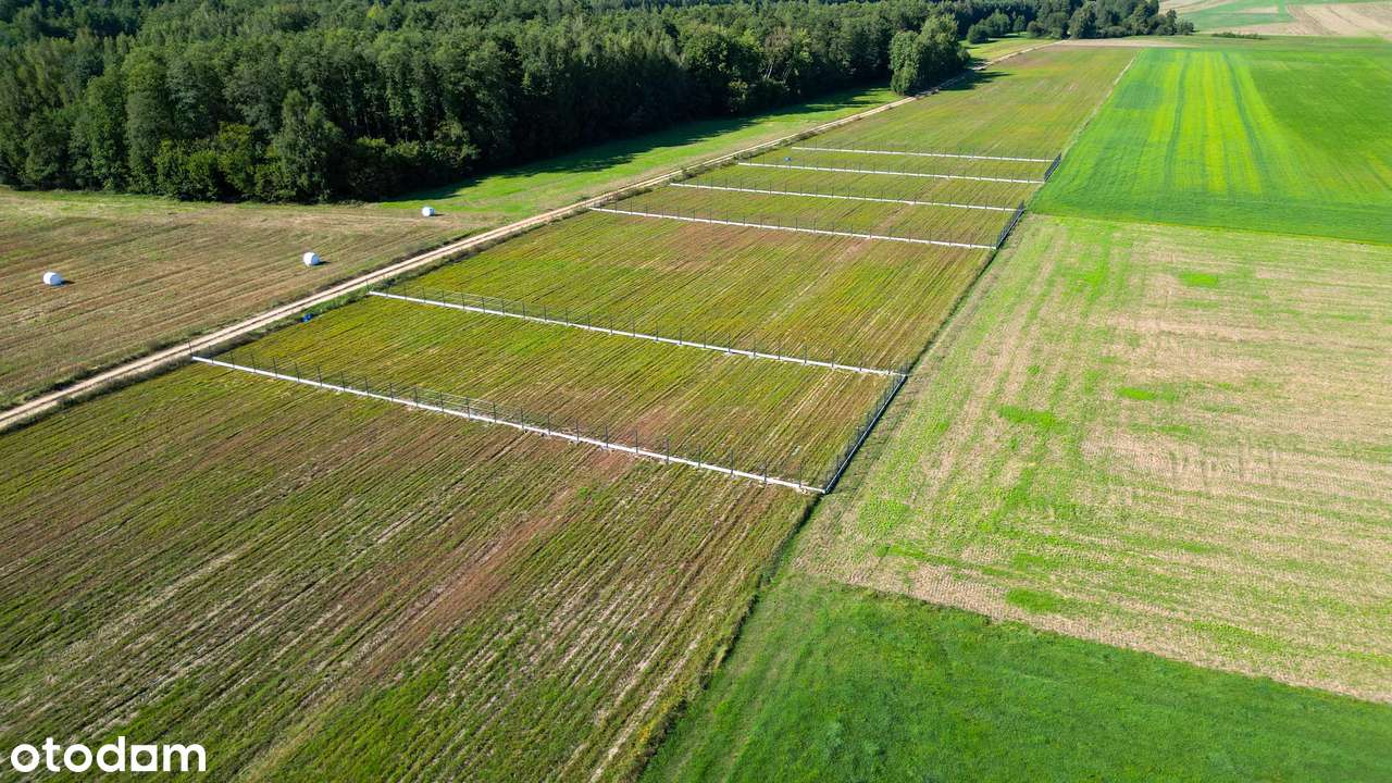 Działki budowlane w otoczeniu natury. Pod dom lub inwestycje. Raty-8