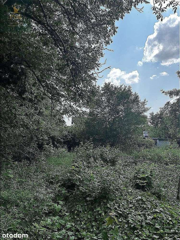 Naramowice, Winogrady dzi. 1702m szer 33m, drzewa. - Pełny obrazek: 5/8