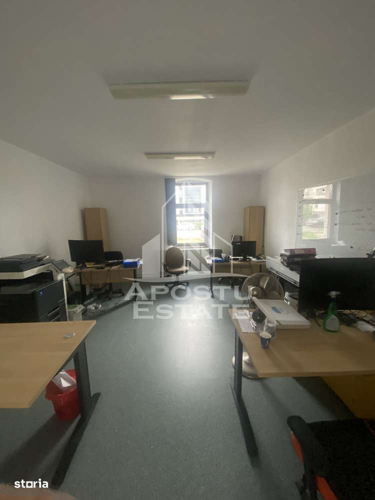 Casa în Dumbrăvița cu teren de 3039 mp și Front Stradal de 40 ml - Imagine principală: 3/12