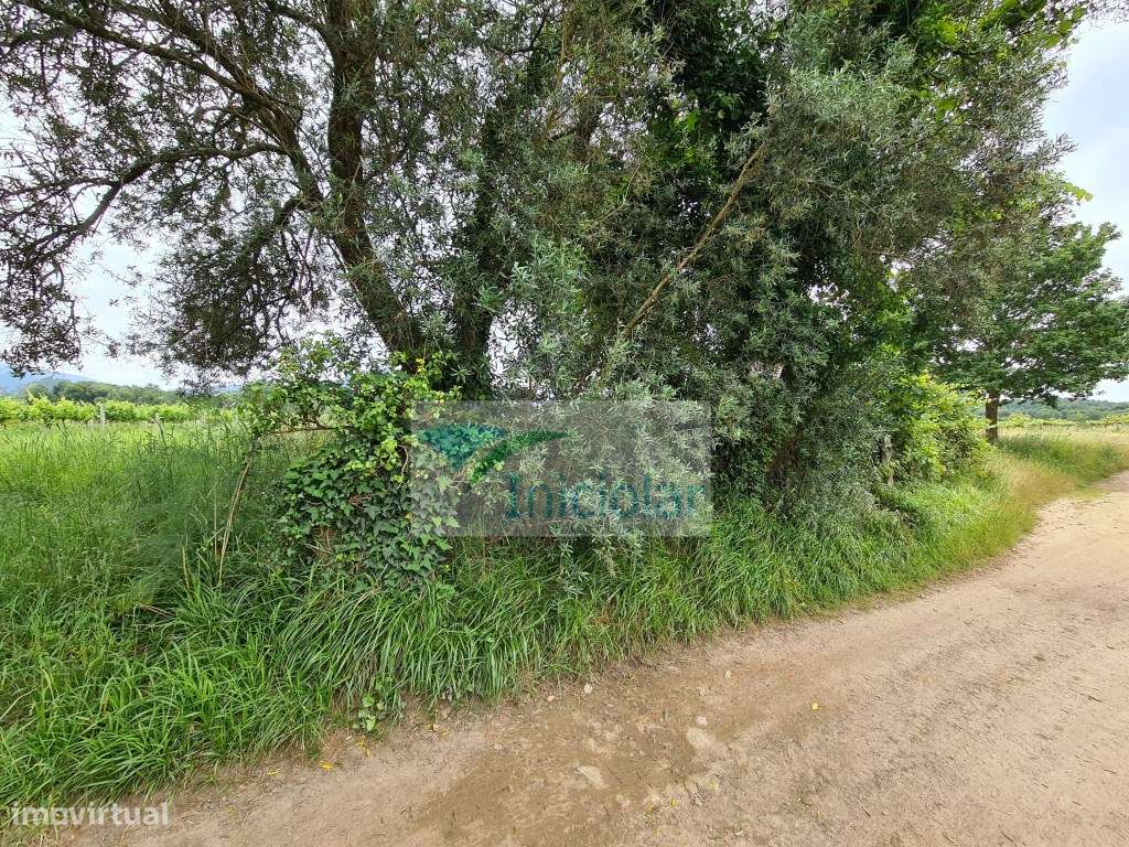 Terreno Rustico em frente ao Rio ( Ótimo para colocação de Autocara... - Grande imagem: 4/5
