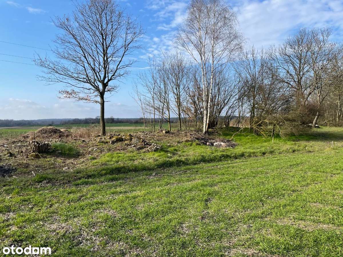 Działka 3600 m² Jemiołów(Łagów Lubuski) w malowniczej okolicy - Pełny obrazek: 4/11