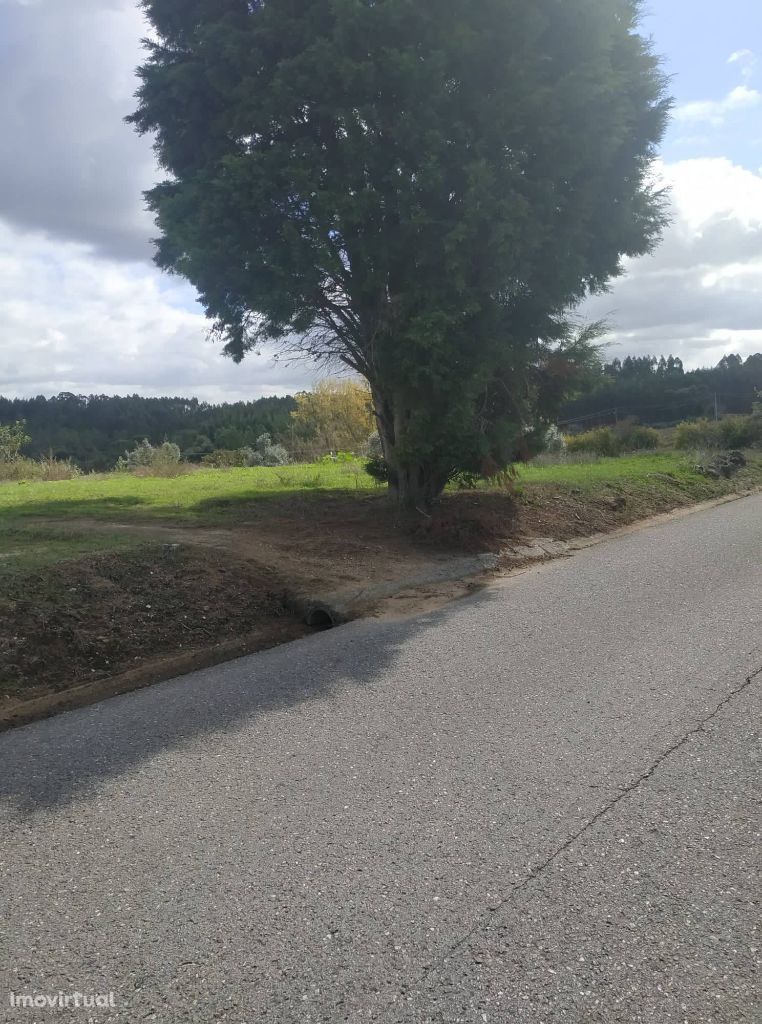 Terreno com 2270 m2 entre Coimbra e Fig. Foz