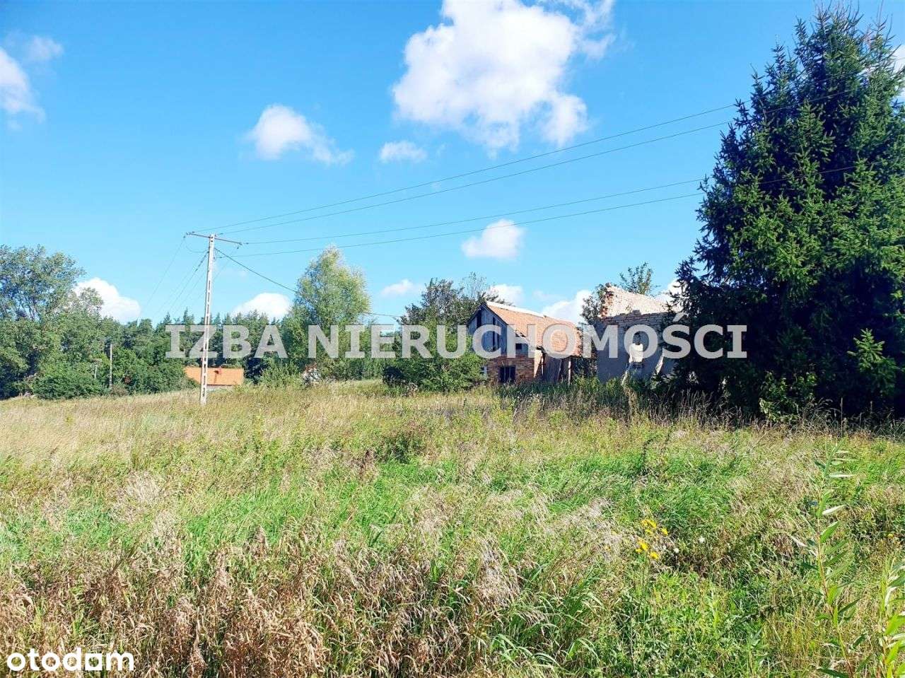 Działka, 88 000 m², Czaple-1