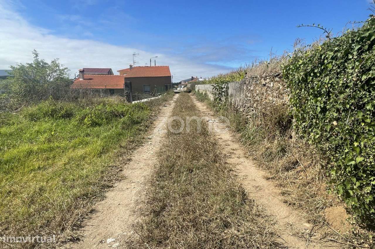 |Terreno| Cultivo | Válega| - Grande imagem: 3/15