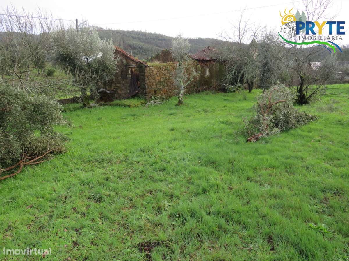 Quinta composta de prédio urbano e rústico situada em Sertã - Grande imagem: 4/22